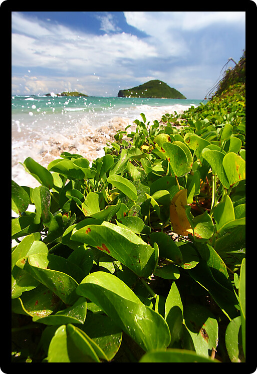 Waves splash against the coast at Anse de Sables Beach in Saint Lucia.