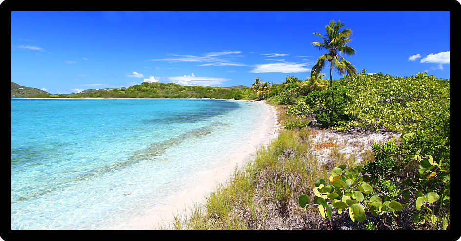 Vegetation grows on Beef Island in the British Virgin Islands.