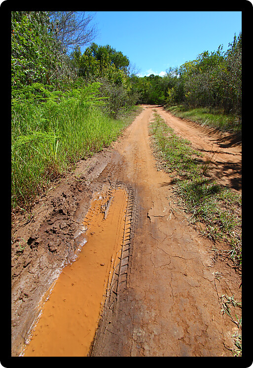 Dirt road runs through Beef Island of the British Virgin Islands.