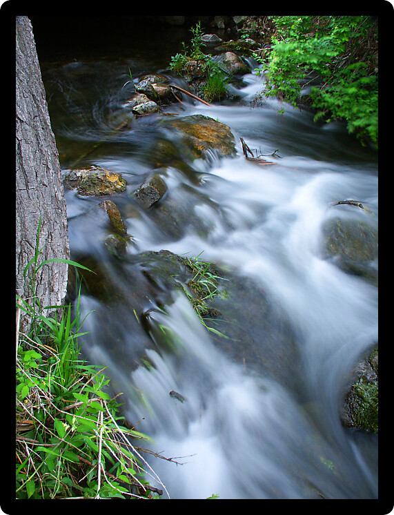Small cascade at Bluff Creek State Natural Area in southern Wisconsin.