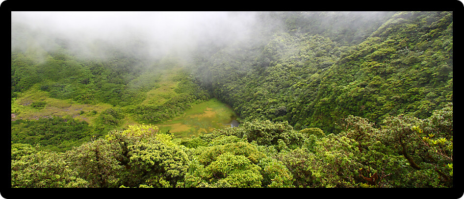 Fog descends into The Crater below Mount Liamuiga on Saint Kitts.