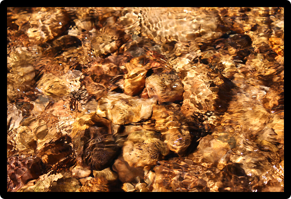 Relaxing calm creek riffle in northern Illinois.