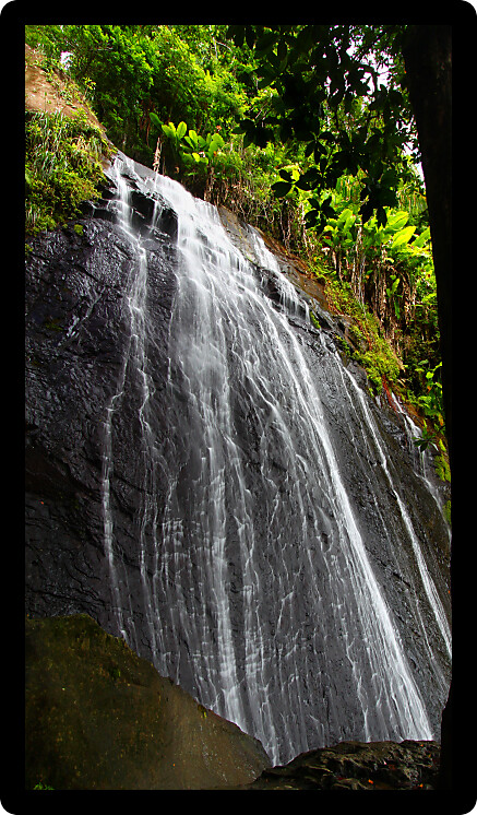 La Coca Falls in the famous El Yunque Rainforest of Puerto Rico.