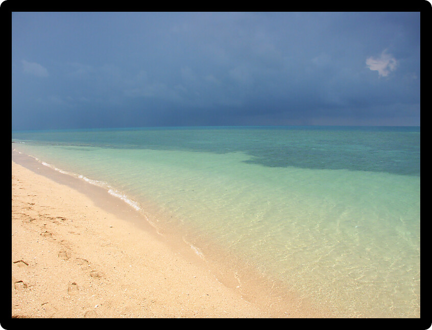Beach on the Low Isles in tropical Queensland Australia.