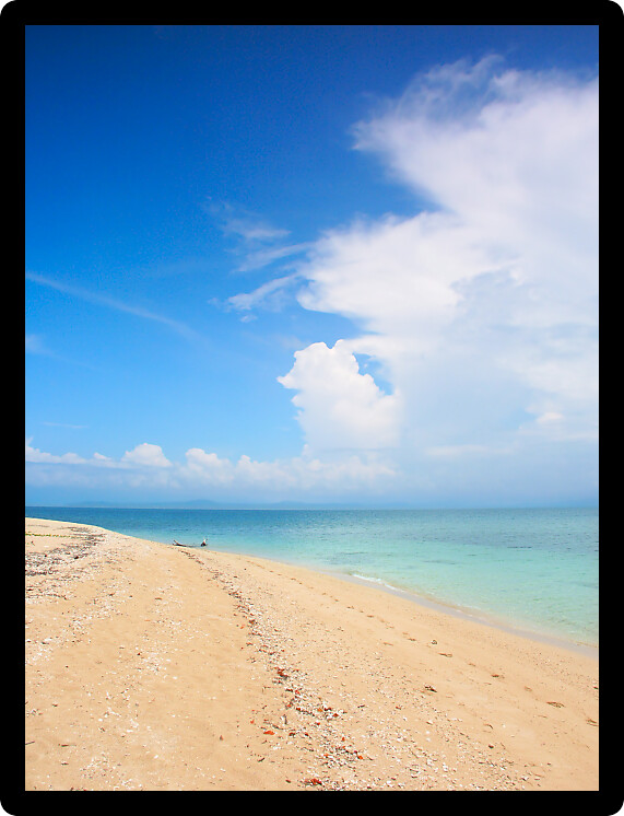 Tropical beach on the Low Isles in beautiful Queensland Australia.