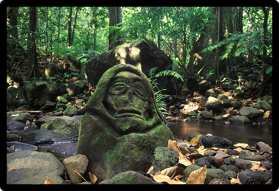 Old stone carving rests in the tropical rainforest of Moorea French Polynesia.