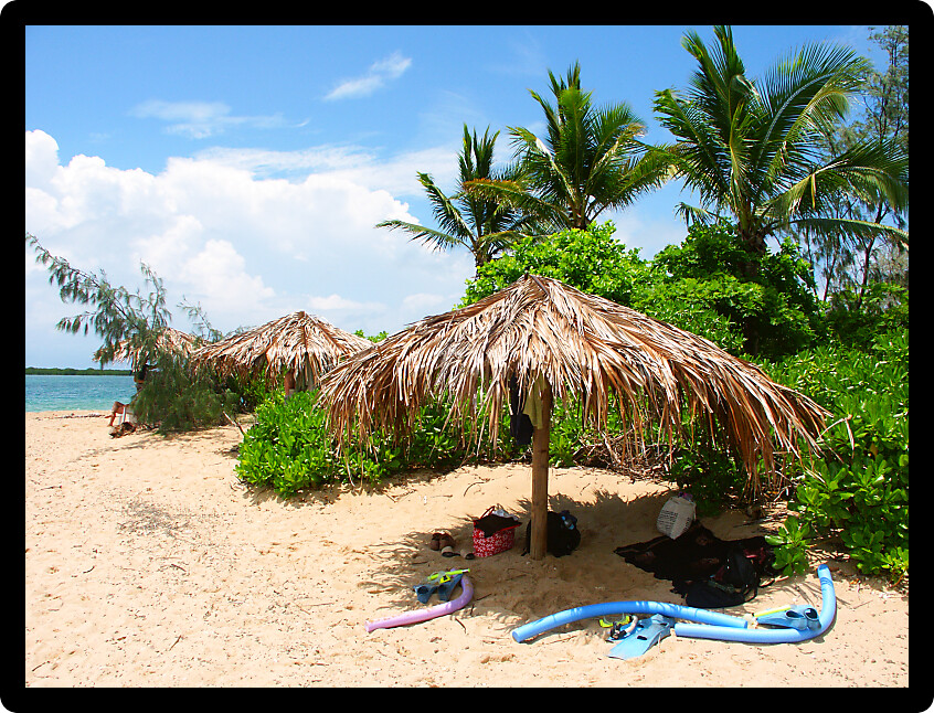 Thatched umbrella vacation ready on the Low Isles of tropical Queensland Australia.