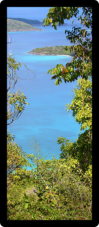 View of the Caribbean from Saint John in the United States Virgin Islands.