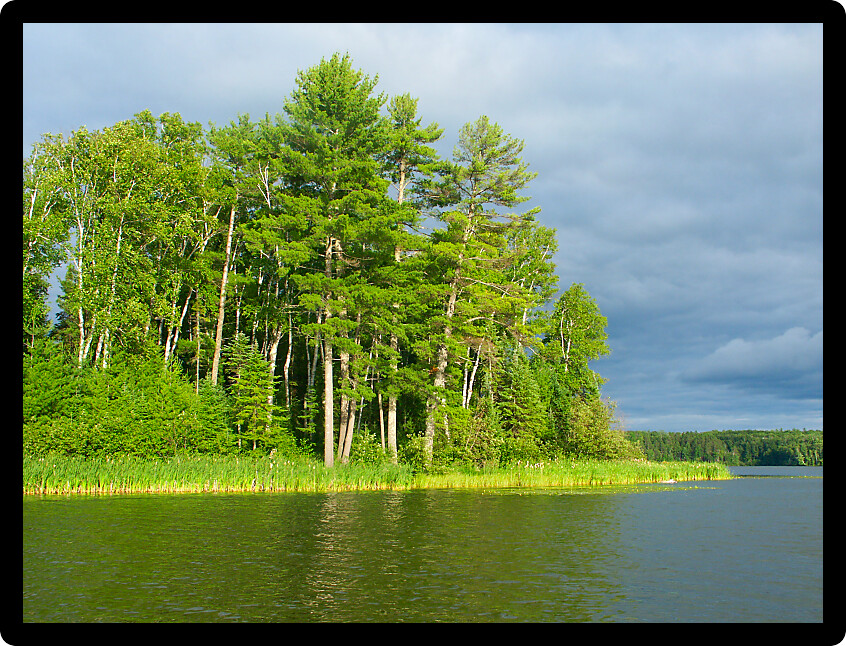 Evening view of Sweeney Lake in the beautiful northwoods of Wisconsin.