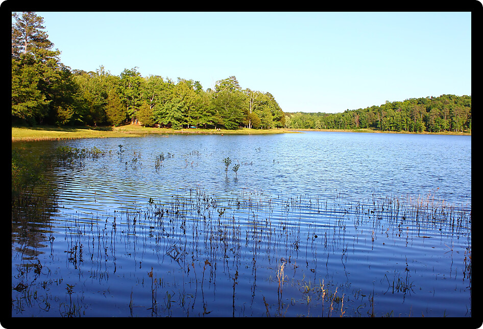 Haynes Lake at Tishomingo State Park in northern Mississippi.
