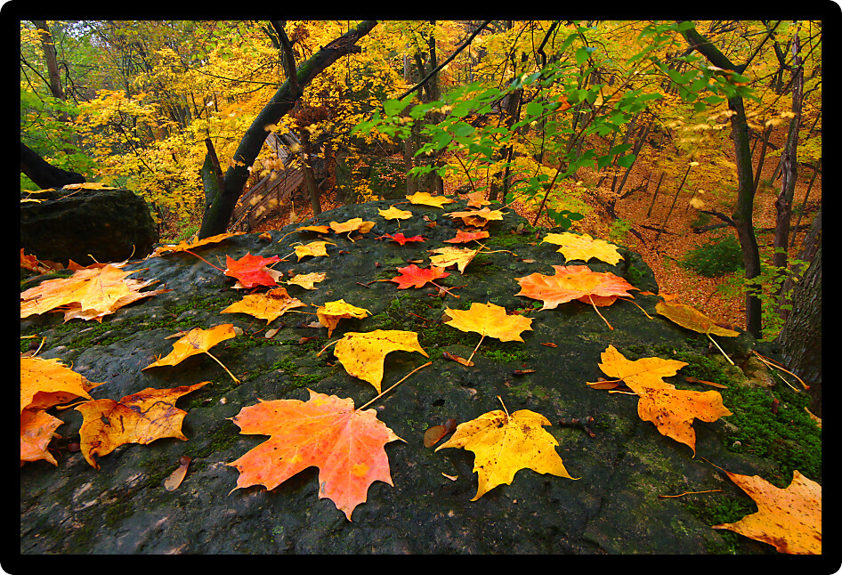 Beautiful autumn landscape at Rock Cut State Park in northern Illinois.