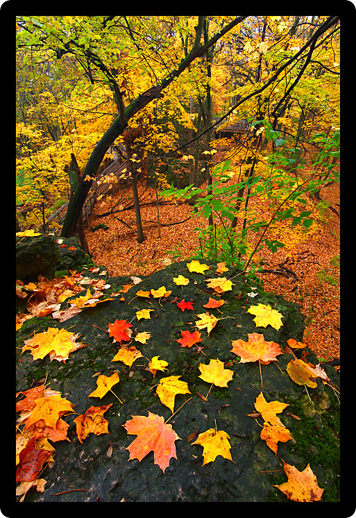 Beautiful autumn landscape at Rock Cut State Park in northern Illinois.