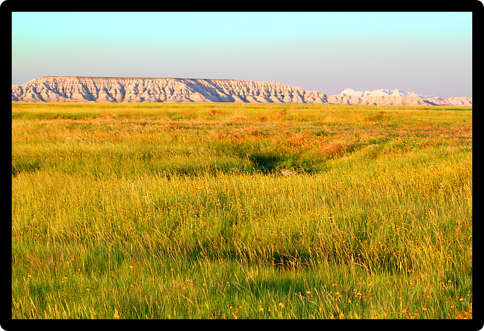 Vast prairie of Buffalo Gap National Grassland in South Dakota USA.
