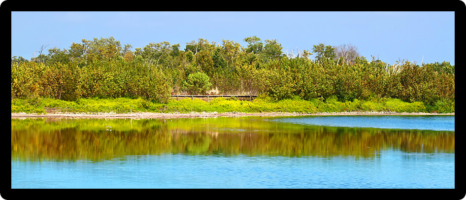 Beautiful sunny day at the Eco Pond of Everglades National Park in Florida.