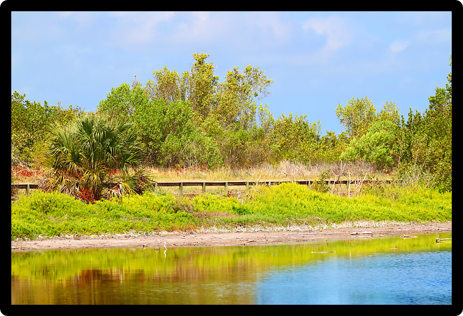 Beautiful sunny day at the Eco Pond of Everglades National Park in Florida.