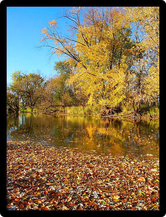 Beautiful autumn colors along the Kishwaukee River at Distillery Conservation Area in Illinois.