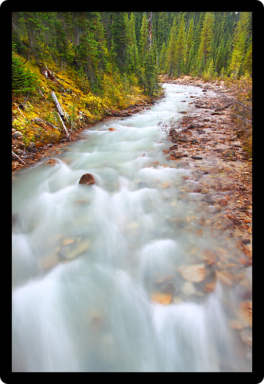 Rapids of the Little Yoho River in Yoho National Park of Canada.