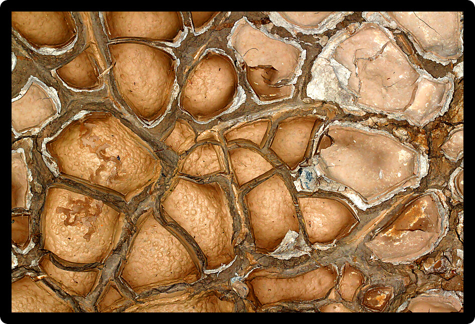 Mud forms interesting patterns along a drying creek bed of the Buffalo Gap National Grassland.