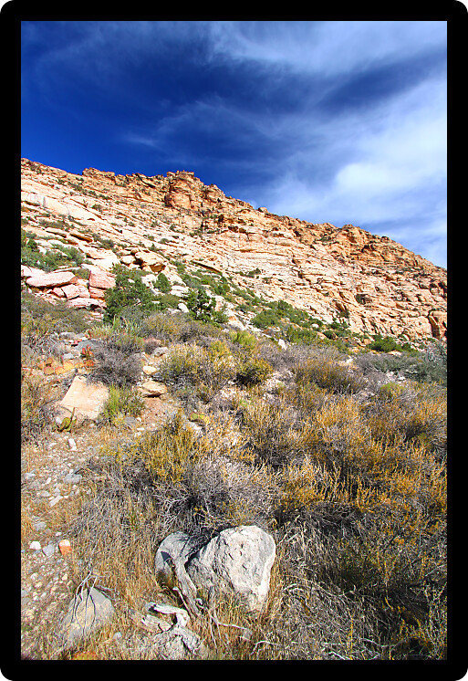 Red Rock Canyon National Conservation Area is located just west of Las Vegas in Nevada.