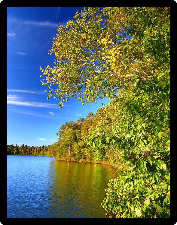 Beautiful foliage along the shoreline of Sweeney Lake in northwoods Wisconsin.