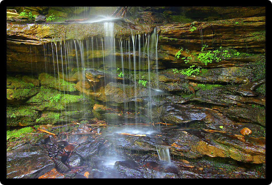 Moss grows over rocks at the base of a small waterfall in the William B Bankhead National Forest of Alabama.