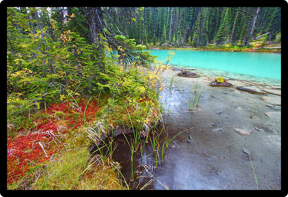 Lovely turquoise colored pond in Yoho National Park of British Columbia.