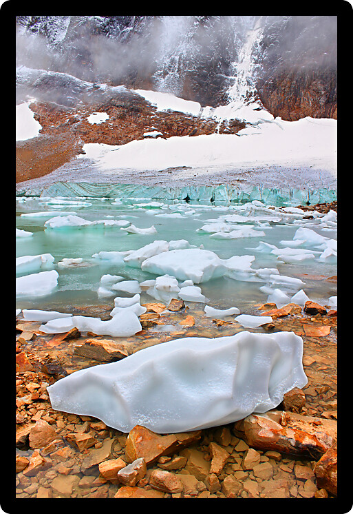 Icebergs float in glaical meltwater from the Angel Glacier in Jasper National Park of Canada.