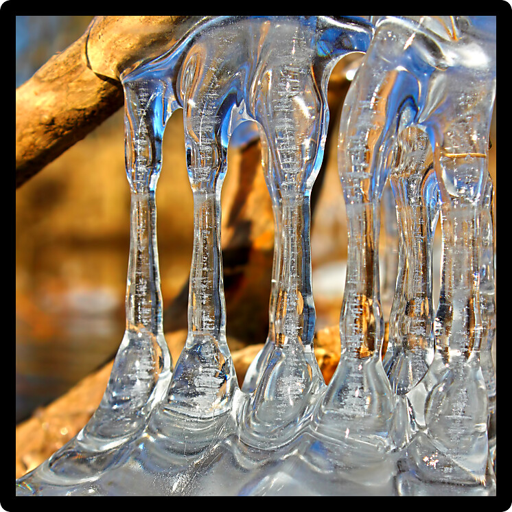 Natural ice sculptures along the Kishwaukee River in northern Illinois.