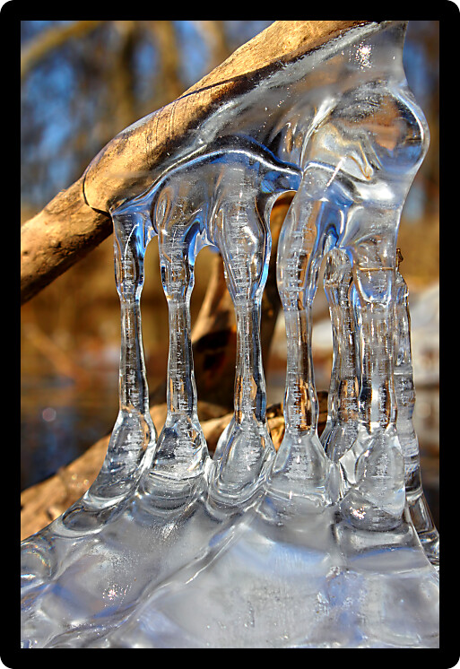 Natural ice sculptures along the Kishwaukee River in northern Illinois.