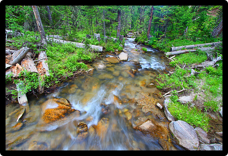 Big Tepee Creek flows through the Bighorn National Forest in Wyoming.