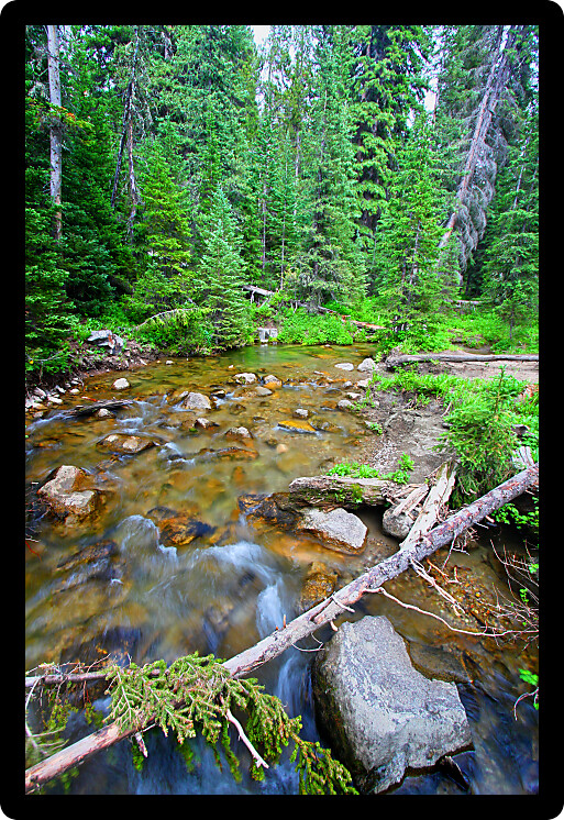 Big Tepee Creek flows through the Bighorn National Forest in Wyoming.
