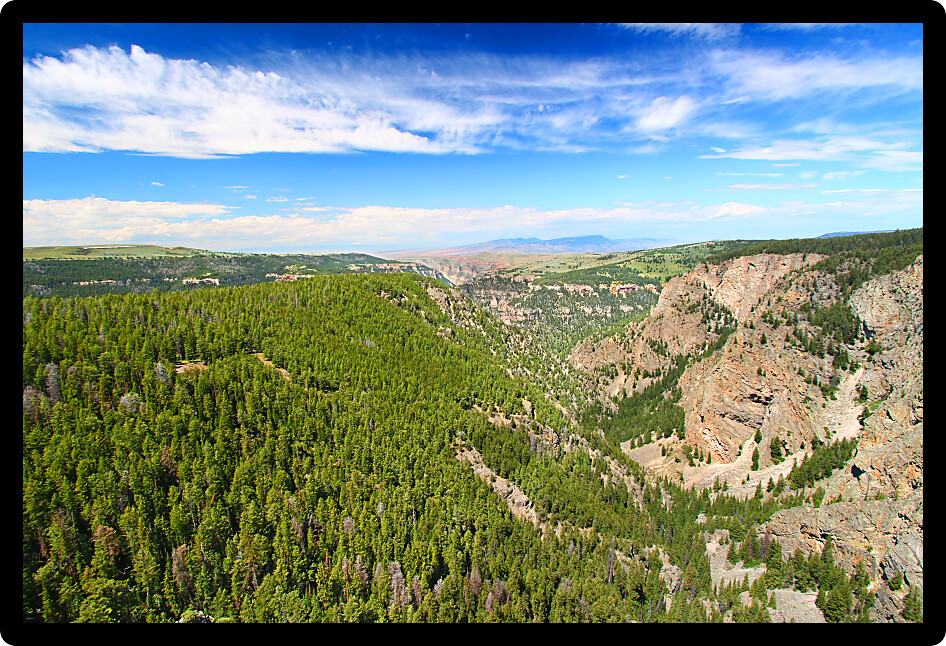 Large canyon and vast woodlands of Bighorn National Forest in Wyoming.