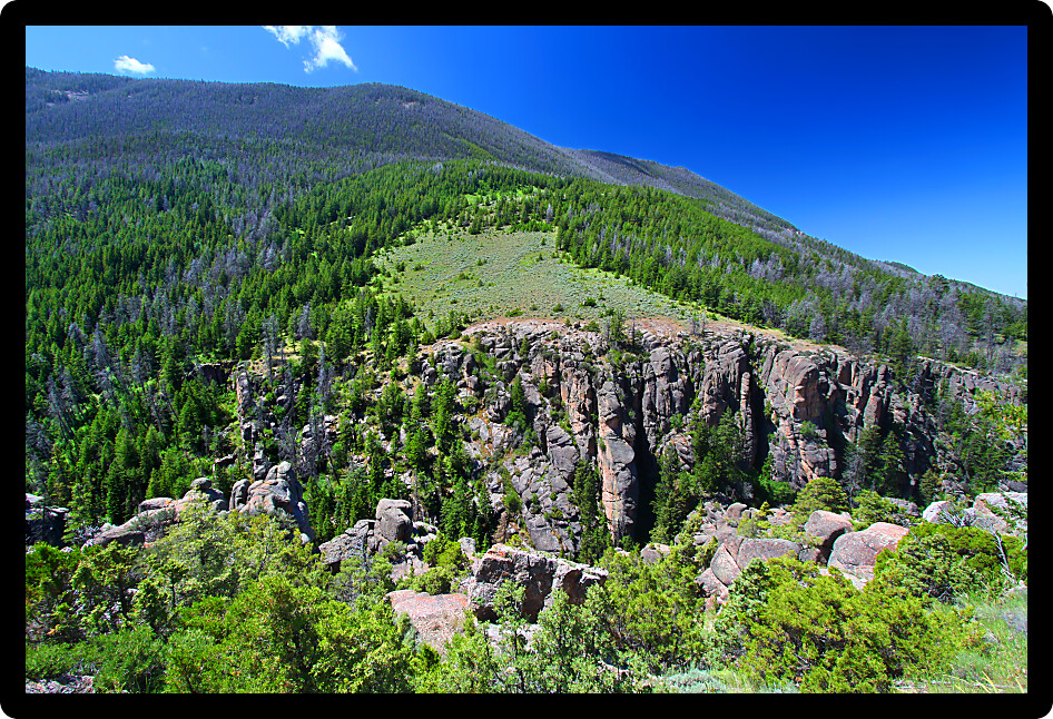 Large canyon and vast woodlands of Bighorn National Forest in Wyoming.