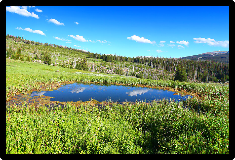 Pond in the high altitudes of the Bighorn Mountains National Forest of Wyoming.
