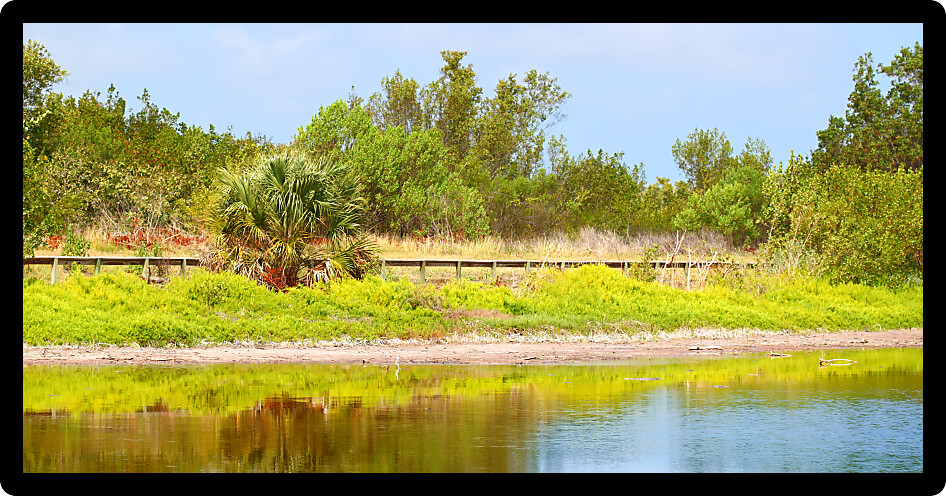 Beautiful sunny day at the Eco Pond of Everglades National Park in Florida.