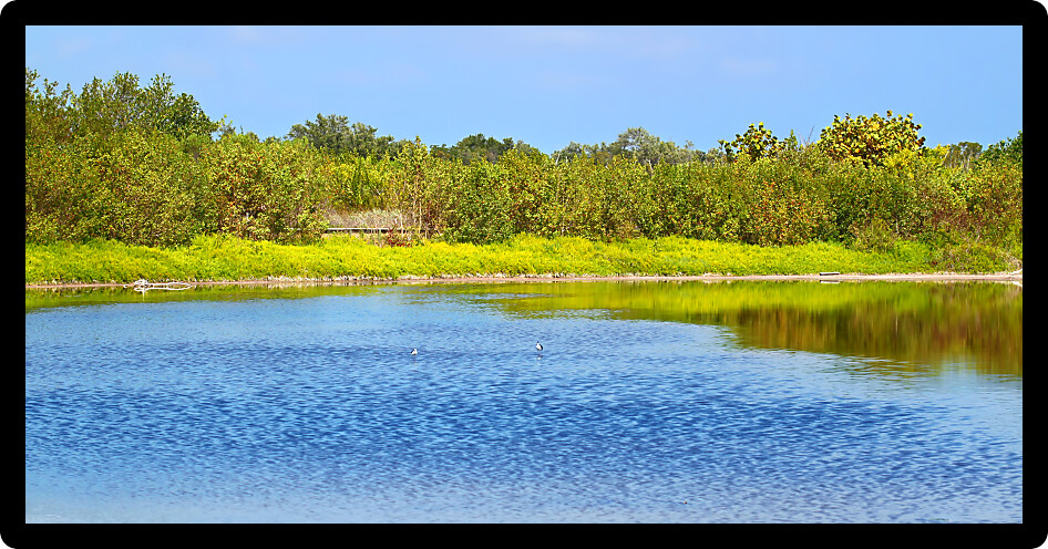 Beautiful sunny day at the Eco Pond of Everglades National Park in Florida.