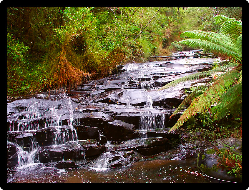 Rainforest cascade in the Great Otway National Park of southern Victoria Australia. 