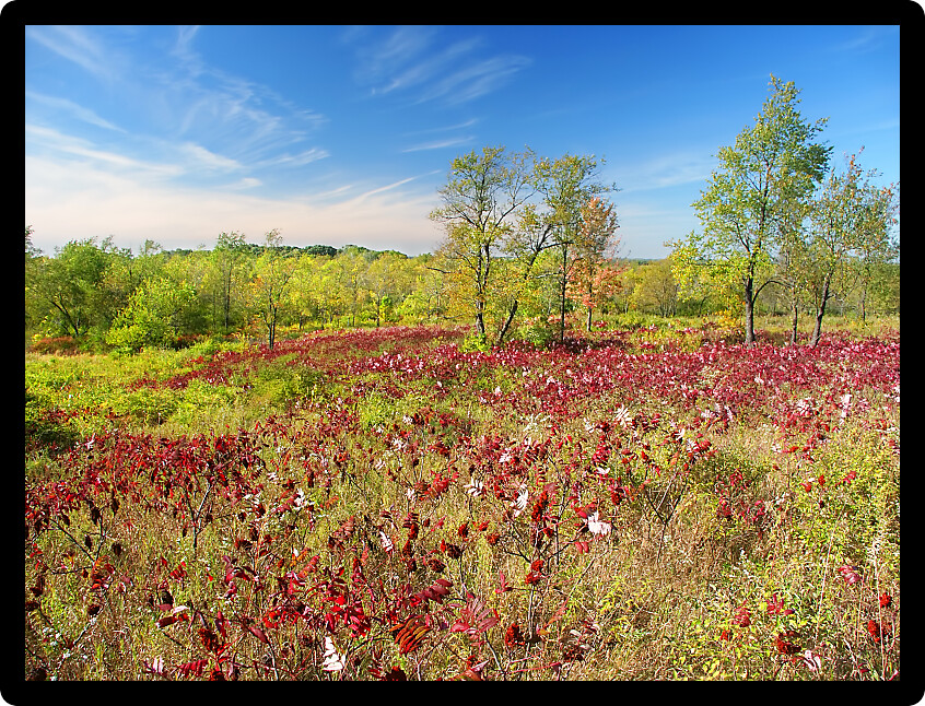 Beautiful hillside of the Kettle Moraine State Forest in Wisconsin.