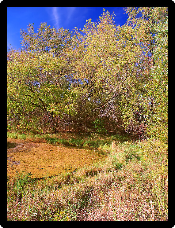Lake La Grange of the Kettle Moraine State Forest in Wisconsin.