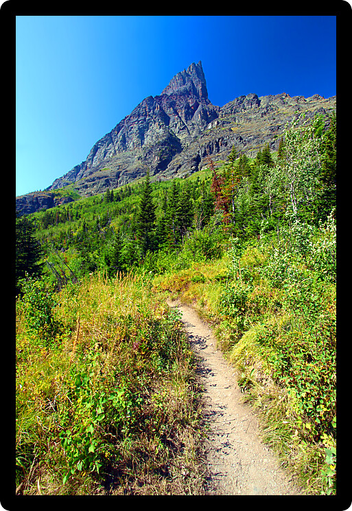 Hiking trail in the Many Glacier area of Glacier National Park.