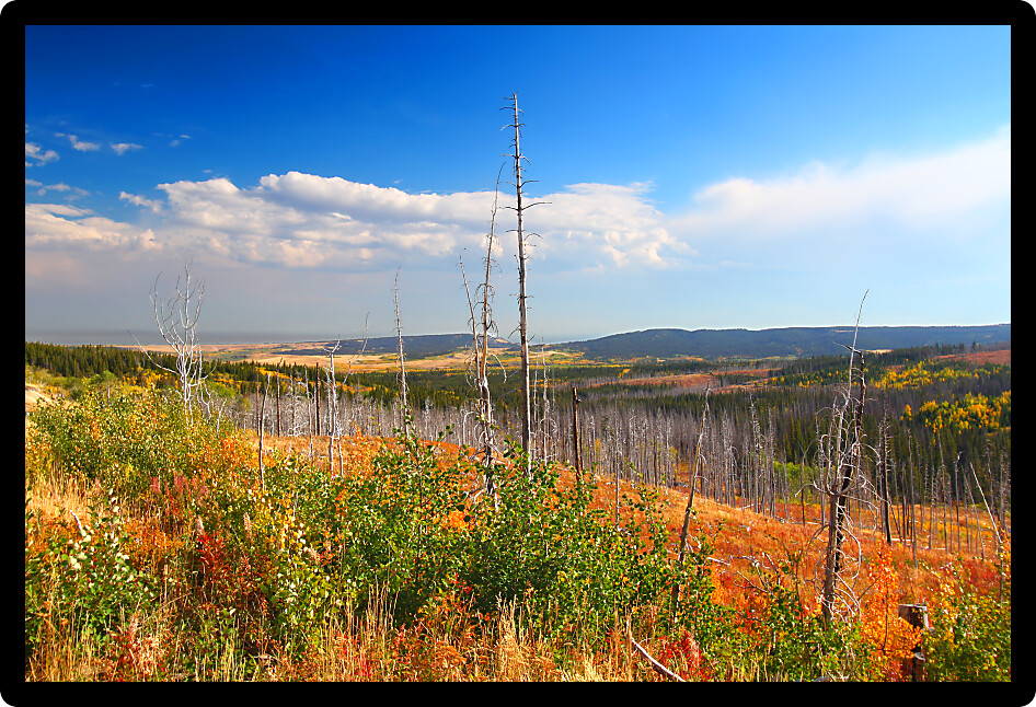 Beautiful autumn scenery of Glacier County in rural Montana.