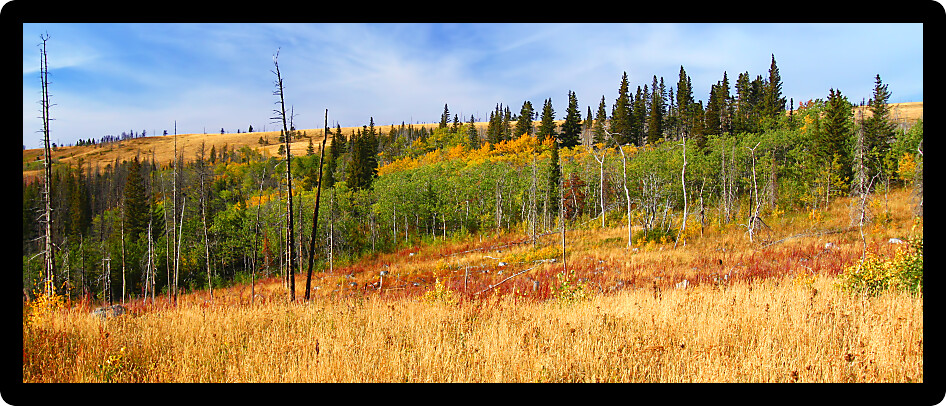 Beautiful autumn scenery of Glacier County in rural Montana.