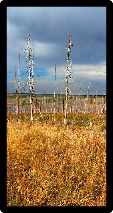 Beautiful autumn scenery of Glacier County in rural Montana.