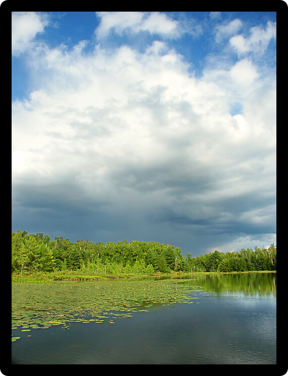 Thunderstorm clouds develop near Mud Lake of northwoods Wisconsin.