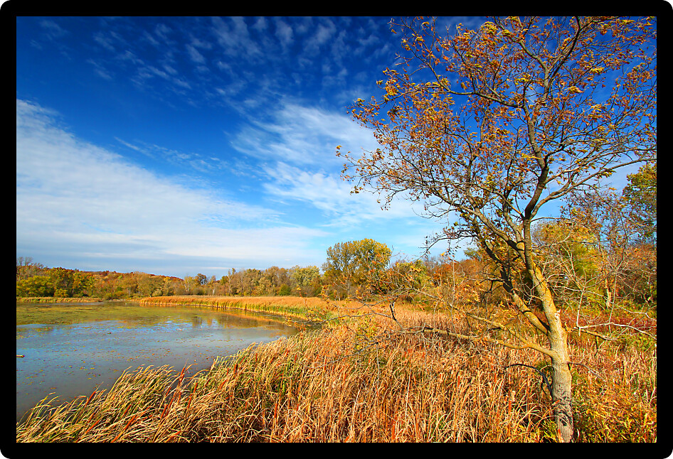 Evening sunlight on the east shoreline of Pierce Lake in Rock Cut State Park Illinois.