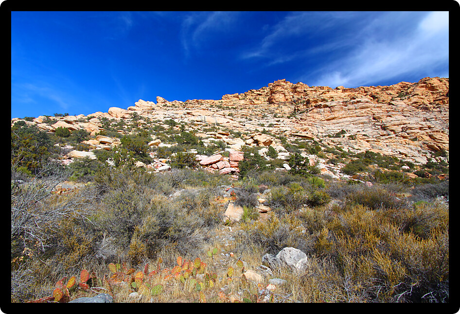 Red Rock Canyon National Conservation Area is located just west of Las Vegas in Nevada.