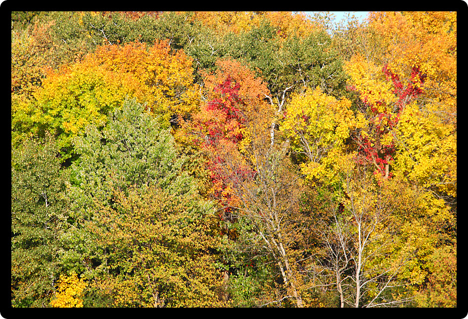 Rock Cut State Park of northern Illinois is a beautiful place to visit in the fall.