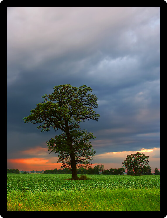 Rain clouds over an agricultural field in rural Wisconsin.