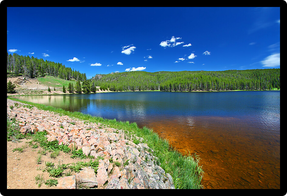 Grass grows along Sibley Lake in the Bighorn National Forest of Wyoming.