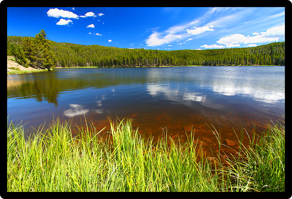 Grass grows along Sibley Lake in the Bighorn National Forest of Wyoming.